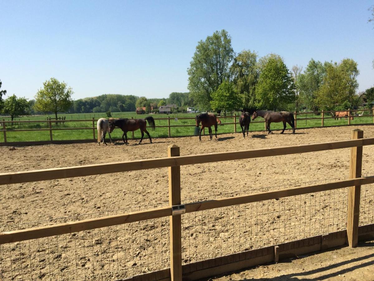 Vakantiehuisje 'T Morehof Oosterzele Esterno foto