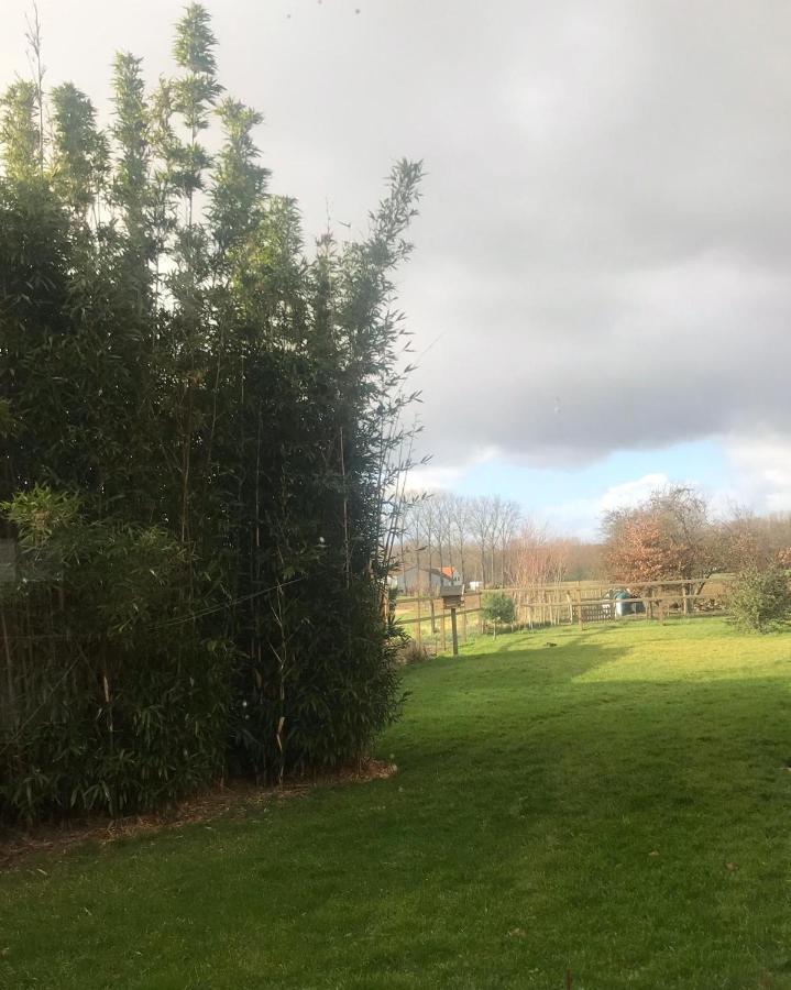 Vakantiehuisje 'T Morehof Oosterzele Esterno foto