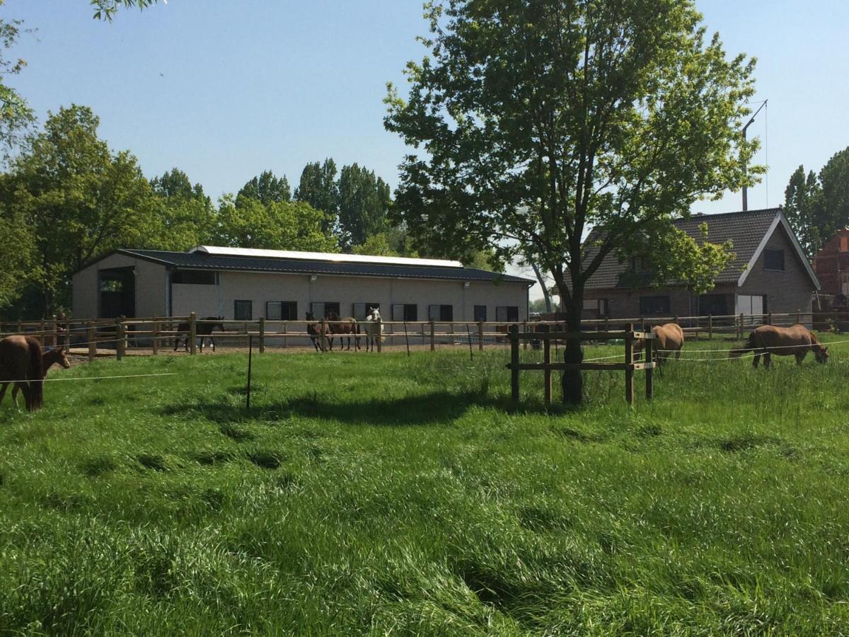 Vakantiehuisje 'T Morehof Oosterzele Esterno foto