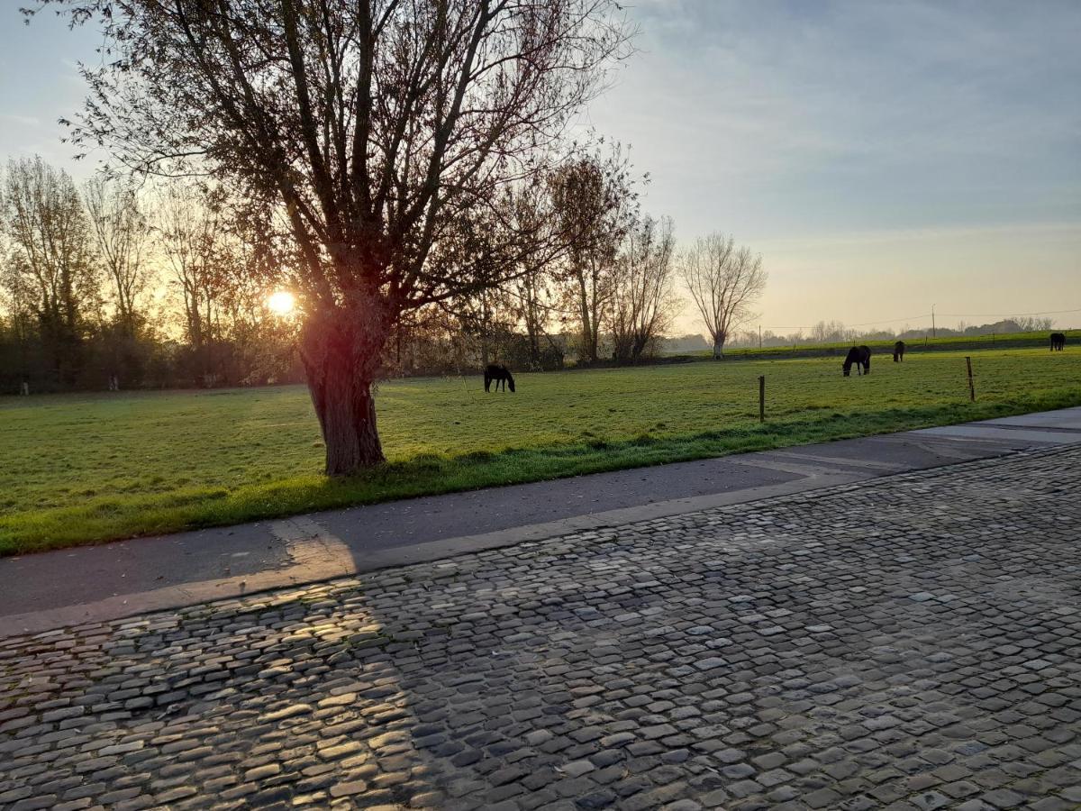 Vakantiehuisje 'T Morehof Oosterzele Esterno foto